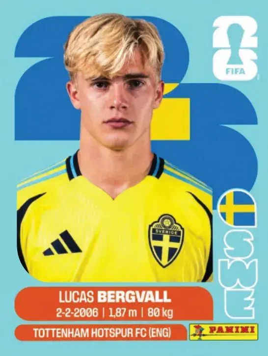 448 - SWE 08